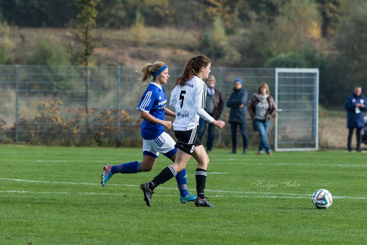 Bild 418 - Frauen FSC Kaltenkirchen - VfR Horst : Ergebnis: 2:3